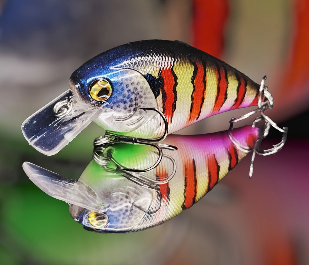 Spring Gill Paint Creek Bait