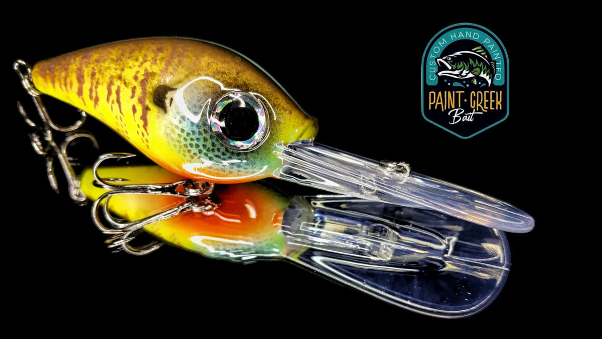 Big Eye Bluegill – Paint Creek Bait