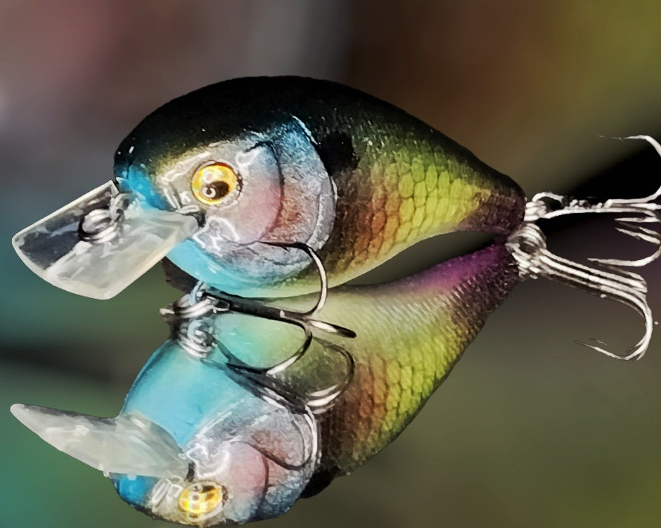 Macaw Paint Creek Bait